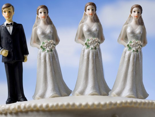 essay on polyandry The essay focuses on polygamy between 1847 and 1890 (after joseph smith) polyandry also runs counter to the entire notion of eternal families. essay on polyandry The essay focuses on polygamy between 1847 and 1890 (after joseph smith) polyandry also runs counter to the entire notion of eternal families.